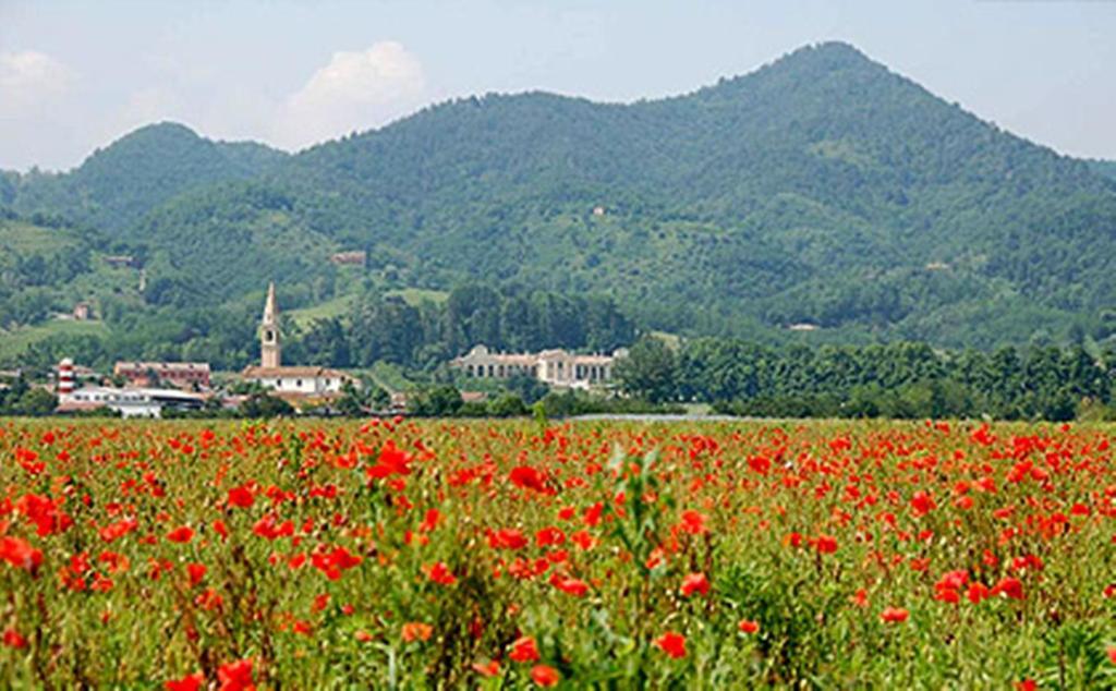 Agriturismo Melo In Fiore Мазер Экстерьер фото